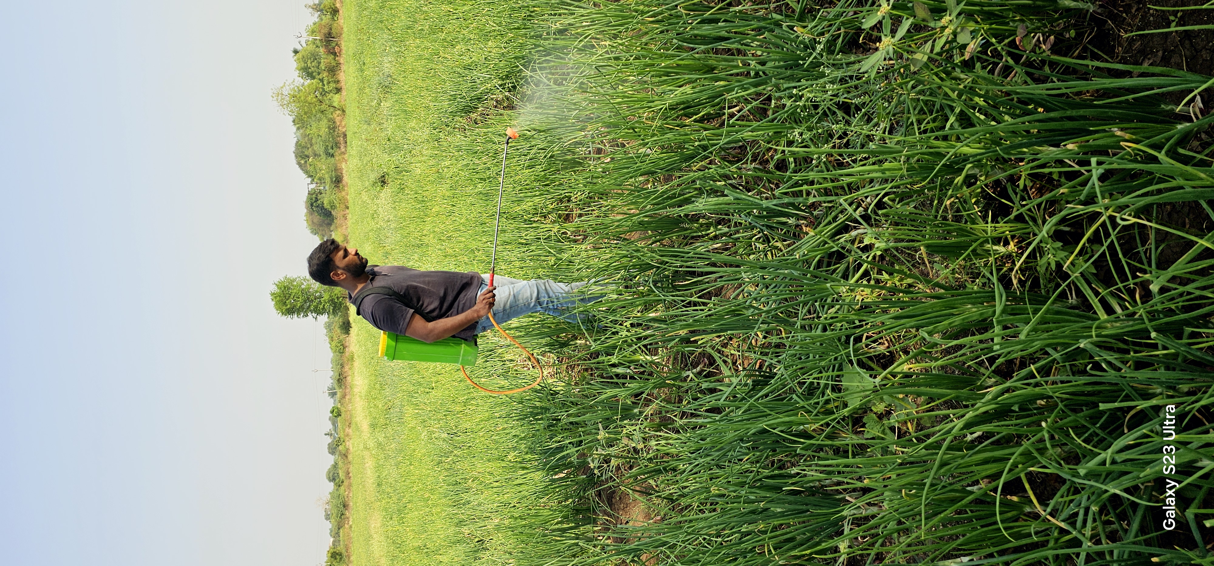 Field