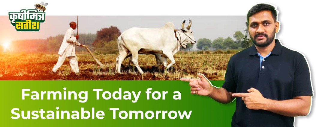 Cattle
